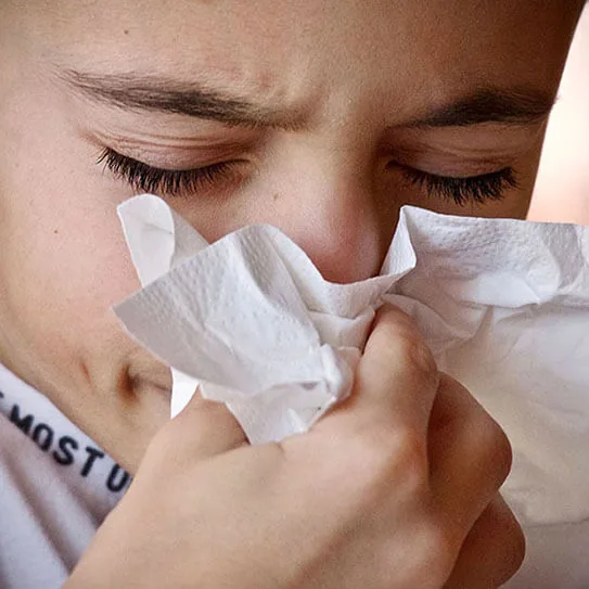 COLD AND FLU SEASON AND ORAL HEALTH