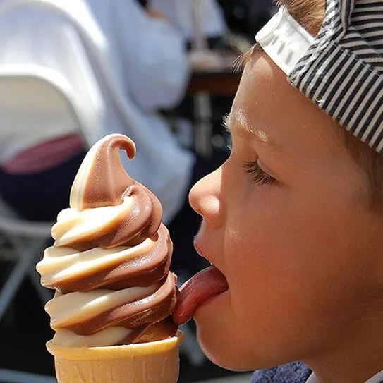 THE ROLE OF SALIVA