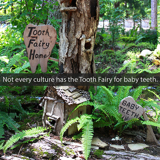 The Tooth Fairy Across Time and Cultures