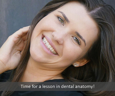 dental-anatomy-2022_543