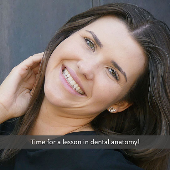 dental-anatomy-2022_543