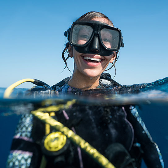 Swimmers and Divers, Watch Those Teeth!